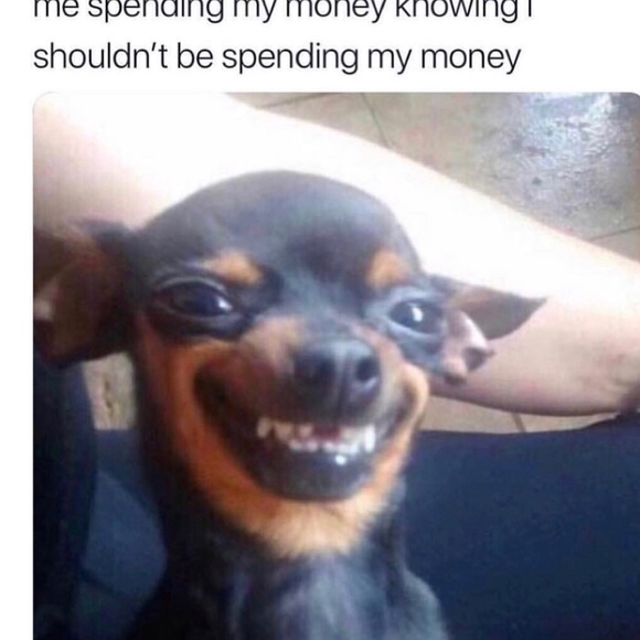 Meet your Posher, Anna - Picture 7 of 8